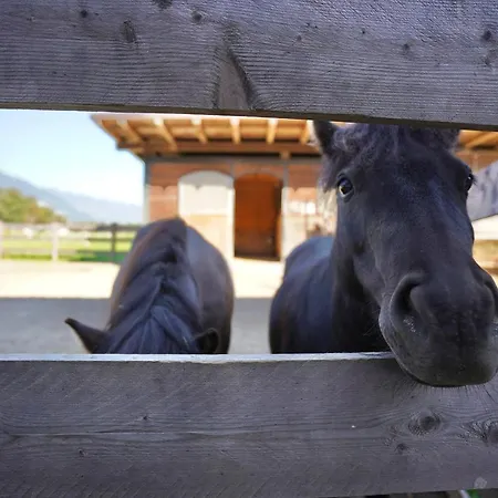 Martlerhof * Aschau Im Zillertal