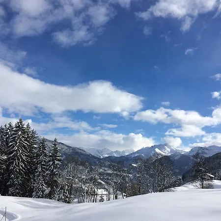 Apartament Martlerhof *