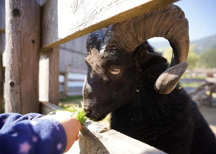 Martlerhof Apartment
