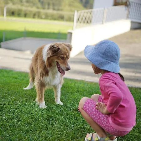Daire Martlerhof Aschau Im Zillertal