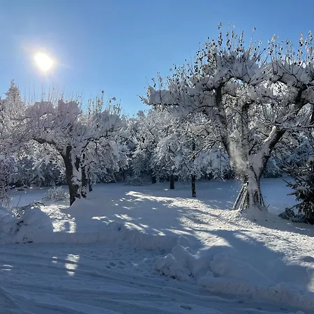 Daire Martlerhof Aschau Im Zillertal