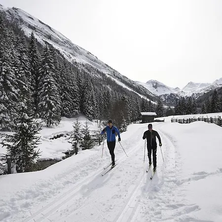 Martlerhof Daire Aschau Im Zillertal
