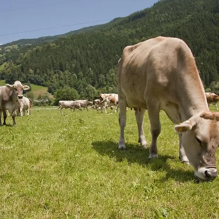 Martlerhof * Aschau Im Zillertal