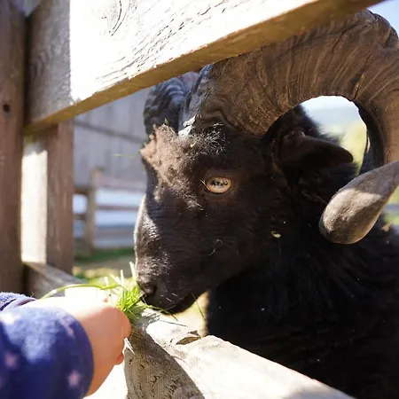Martlerhof Apartment
