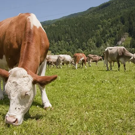 Apartment Martlerhof
