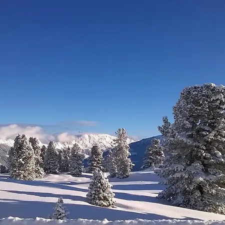 Apartment Martlerhof *